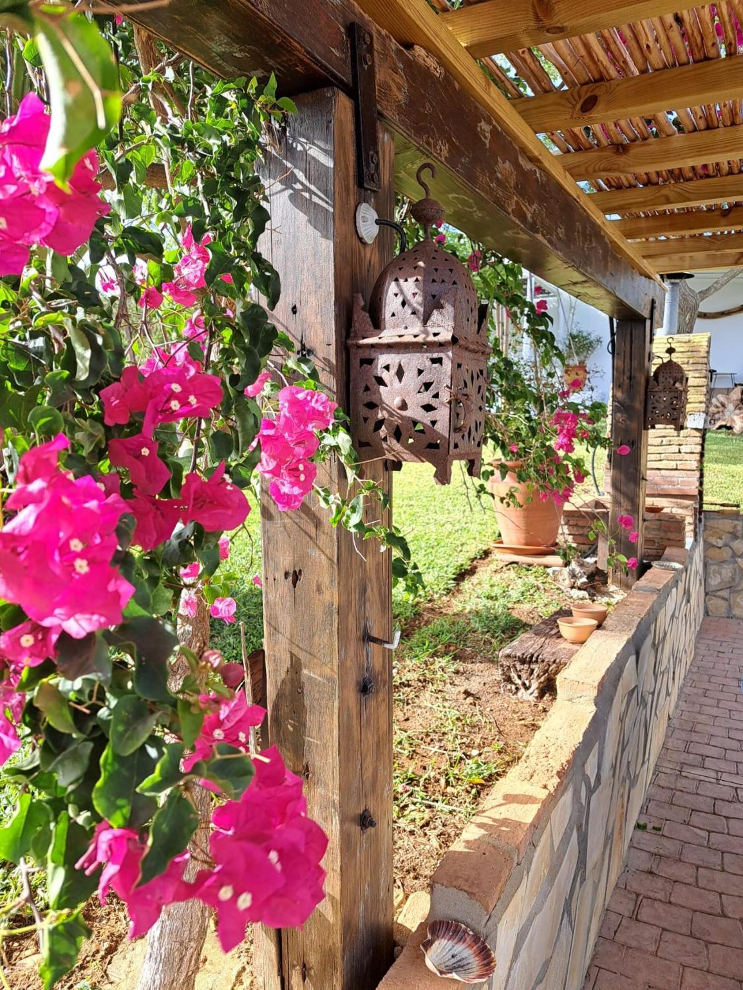 Hostal La Luciérnaga Chiclana de la Frontera Exterior foto