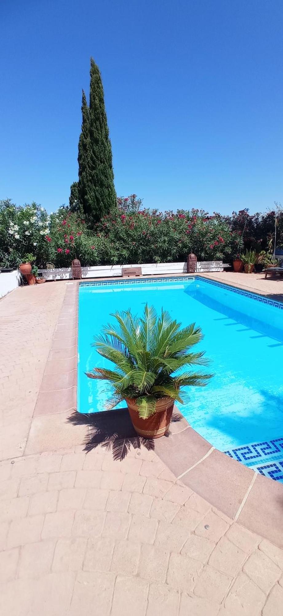 Hostal La Luciérnaga Chiclana de la Frontera Exterior foto